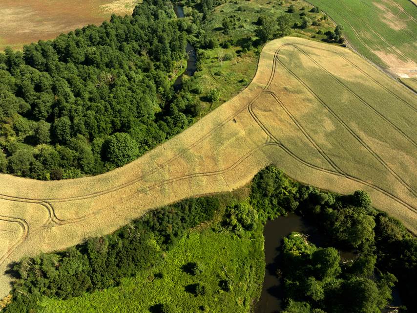 Ciepłe - zdjęcie ze stanowiska archeologicznego, fot. Muzeum Archeologiczne w Gdańsku 