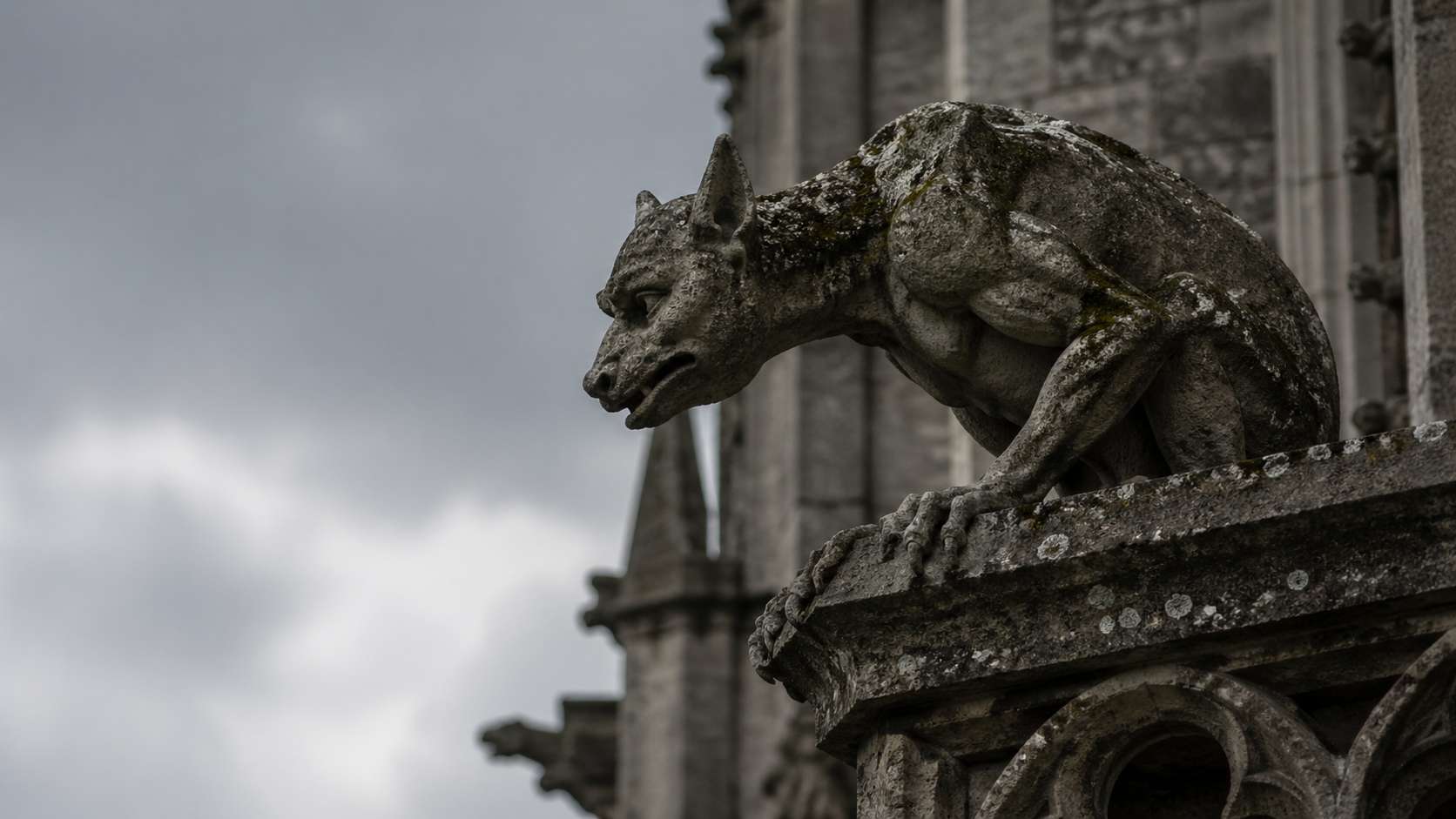 Gargulec od A do Z: definicja, cechy, mity – kamienna bestia na straży świątyni