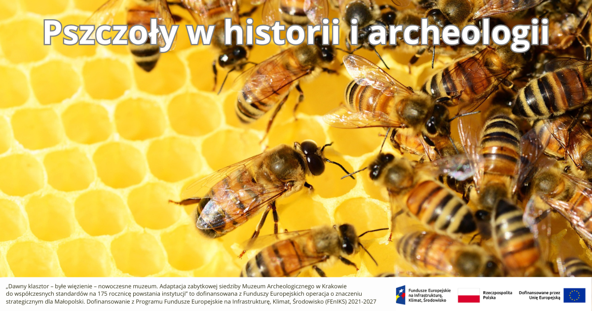 Fot. Muzeum Archeologiczne w Krakowie